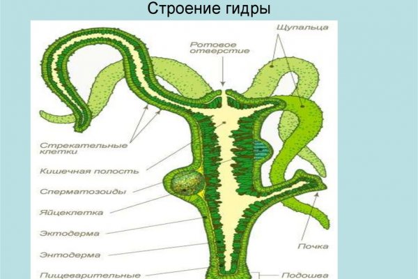 Как восстановить пароль кракен