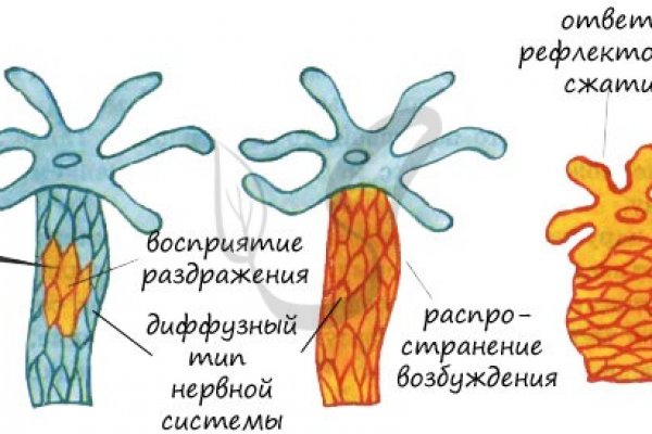 Кракен есть все